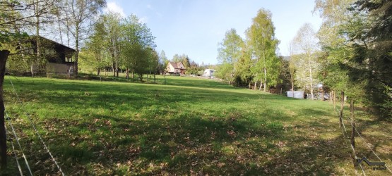 IMG_20240413_170421_polarr