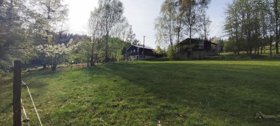 IMG_20240413_170656_polarr