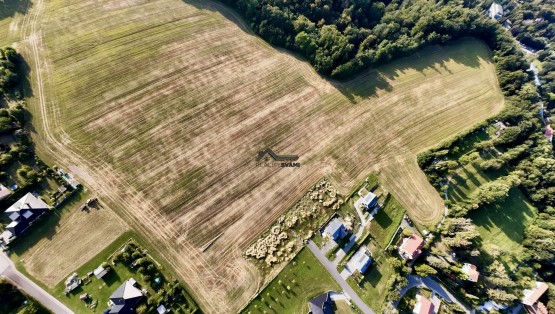 DJI_20240809175310_0003_D