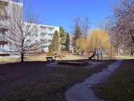 IMG_6791