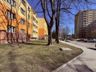IMG_6790