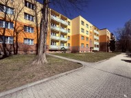 IMG_6787
