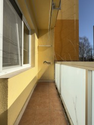 IMG_6761