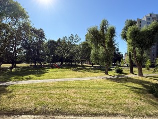 IMG_2729