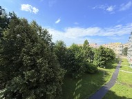 IMG_4569