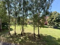 IMG_3250
