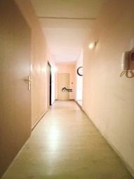 IMG_3401