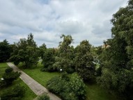 IMG_3599