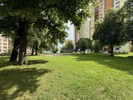 IMG_3870
