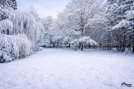 4D0E1A25-1E4B-4EAE-8359-D2C39A91F5A0