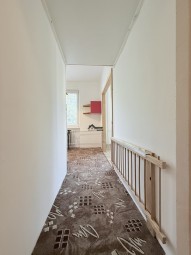 IMG_5996