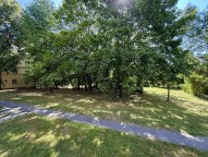 IMG_5969