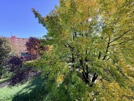 IMG_1228