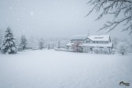  Image 25. 11. 2025 20_07_19