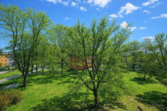 ChatGPT Image 20. 2. 2026 13_47_48