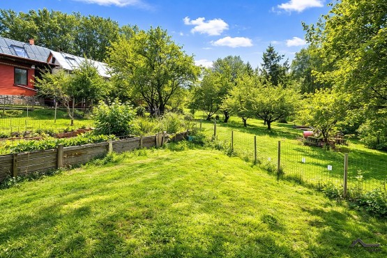 ChatGPT Image 23. 2. 2026 13_33_47