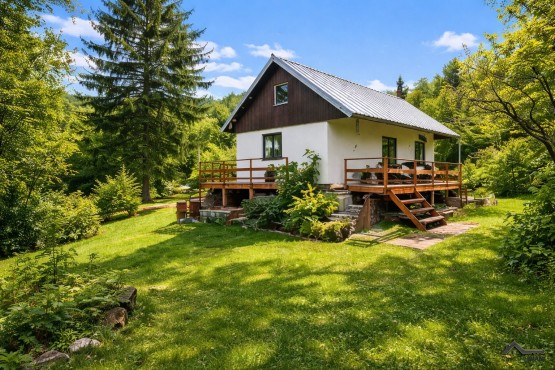 ChatGPT Image 23. 2. 2026 13_51_28