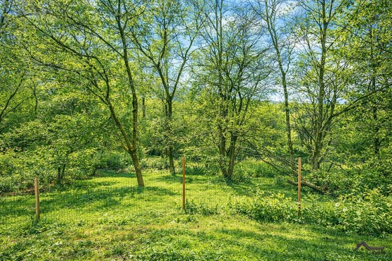 ChatGPT Image 23. 2. 2026 13_34_20