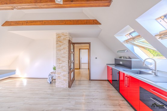 Vojtěch Vajda_profifoto-10