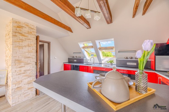 Vojtěch Vajda_profifoto-06