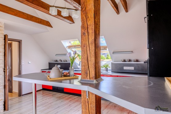 Vojtěch Vajda_profifoto-09