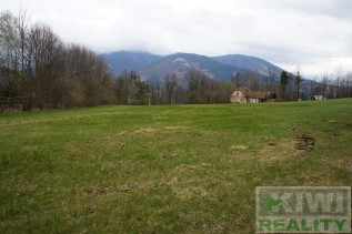 dsc08076-1.jpg