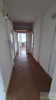 160968400-4.jpg