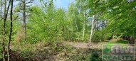 20230505-111819.jpg