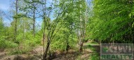 20230505-111803.jpg