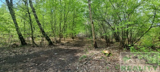 20230505-110848.jpg