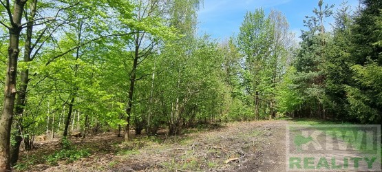 20230505-111725.jpg
