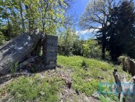 img-9620.jpg