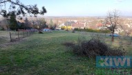 dji-20250316153135-0010-d.jpg