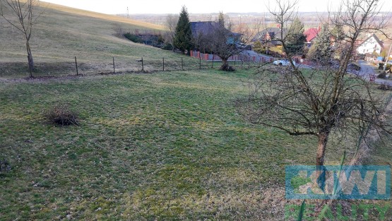dji-20250316153032-0009-d.jpg