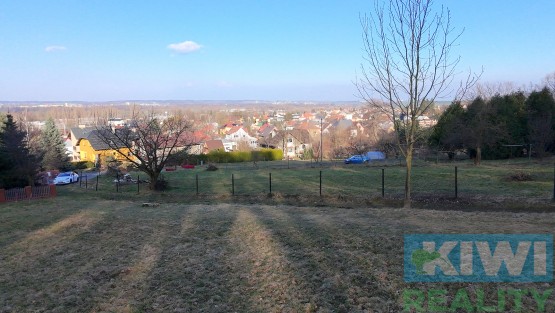 dji-20250316152942-0008-d.jpg