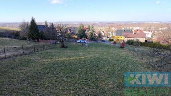 dji-20250316153157-0011-d.jpg