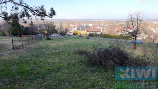 dji-20250316153135-0010-d.jpg