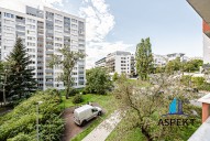 dma-1955-hdr.jpg