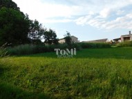 DSCN6374
