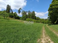 IMG_20250507_113930