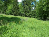 IMG_20250507_113410