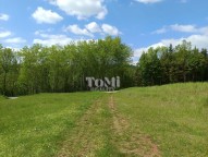 IMG_20250507_115210