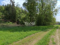 IMG_20250507_113941
