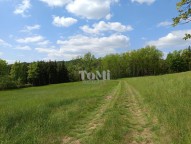 IMG_20250507_115302