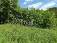 IMG_20250507_113403