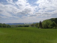 IMG_20250507_115236