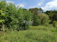 IMG_20250507_113350