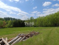 IMG_20250507_115148