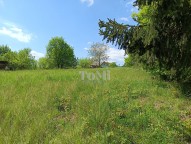 IMG_20250507_113458
