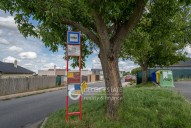 DSC01663